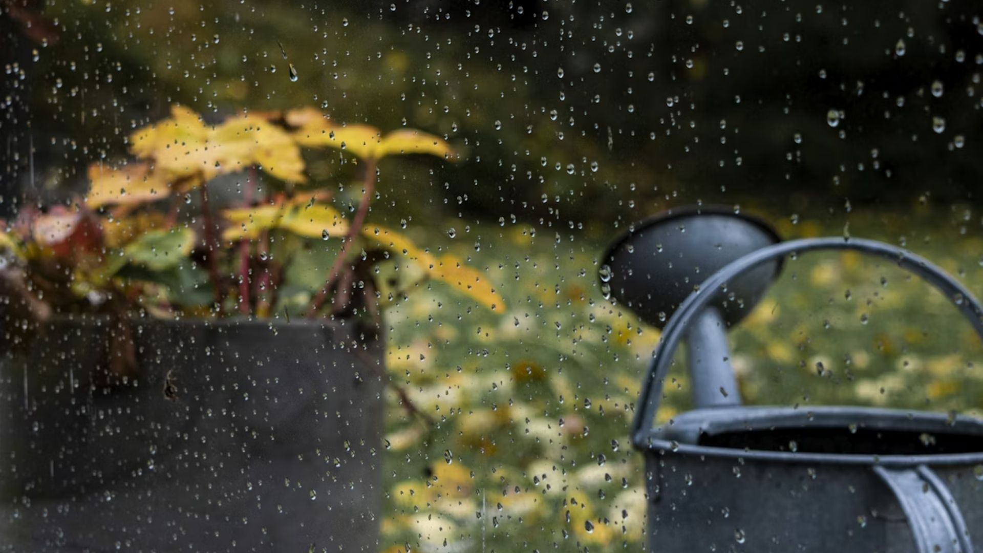 Погода в Украине 13 октября 2025 года Погода в Украине 13 октября 2025 года