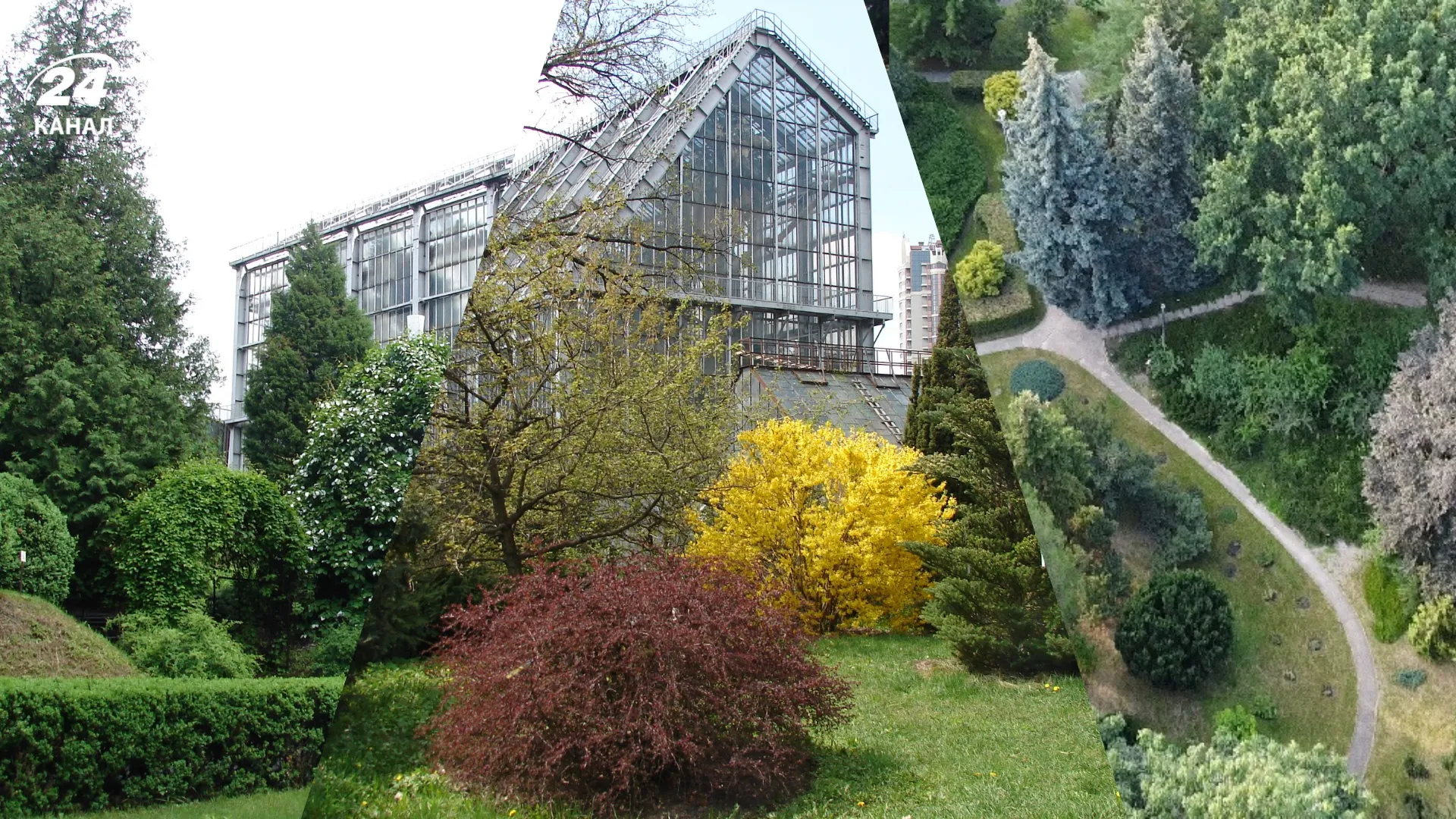 Ботанічний сад імені академіка Олександра Фоміна / Колаж 24 Канала, фото Biomed.knu.ua