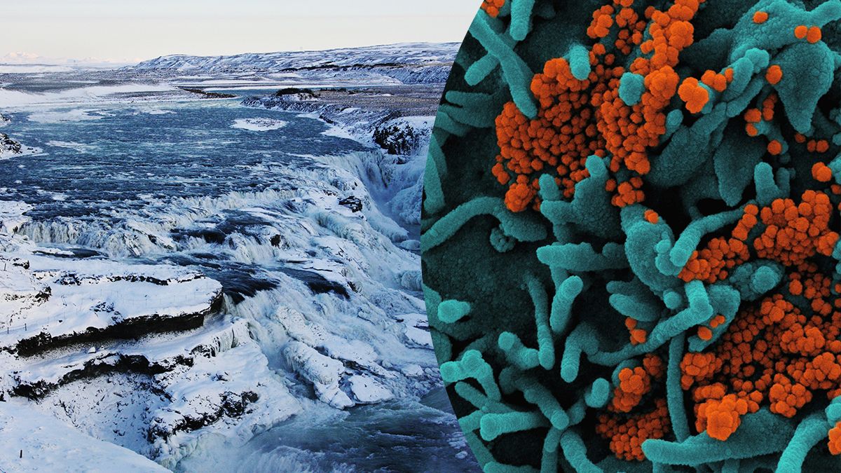 Мікроби вічної мерзлоти та їхній вплив на глобальне потепління – нове дослідження Мікроби вічної мерзлоти та їхній вплив на глобальне потепління – нове дослідження