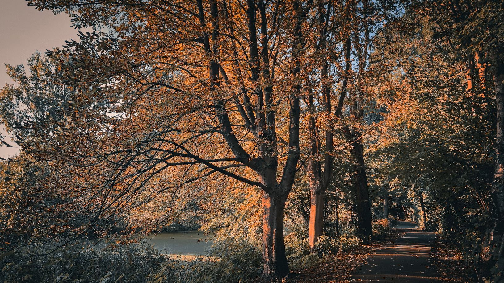 Погода в Украине на ближайшее время - 24 Канал Погода в Украине на ближайшее время - 24 Канал