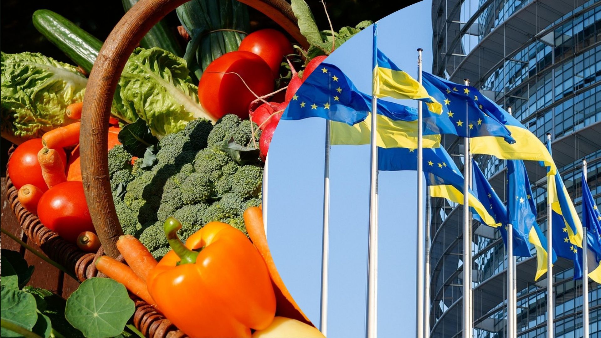 ЄС частково послабив мита