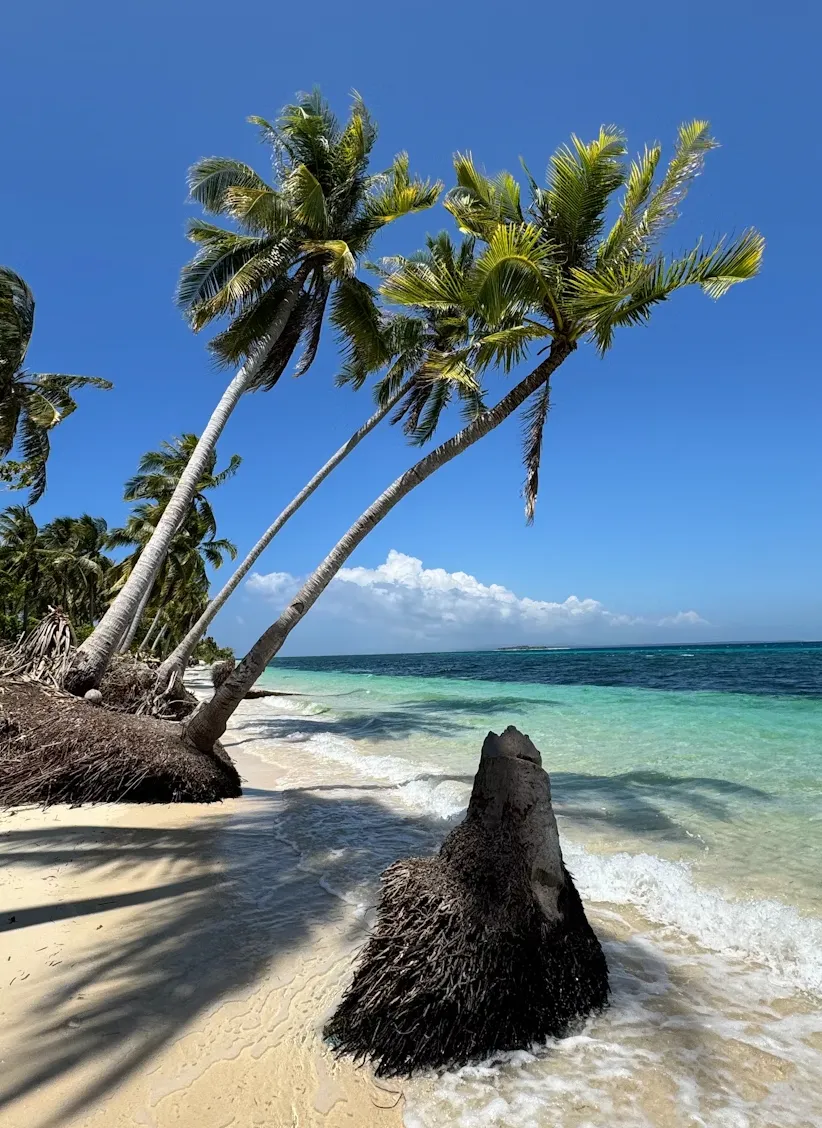 У листопаді на Барбадосі тепла погода і нижчі ціни У листопаді на Барбадосі тепла погода і нижчі ціни