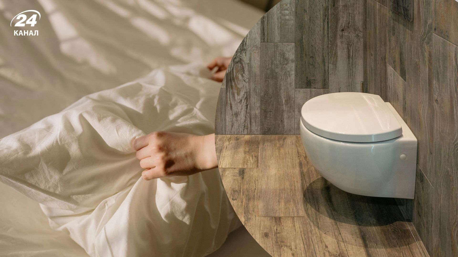 Наволочка может хранить больше бактерий, чем сиденье унитаза Наволочка может хранить больше бактерий, чем сиденье унитаза