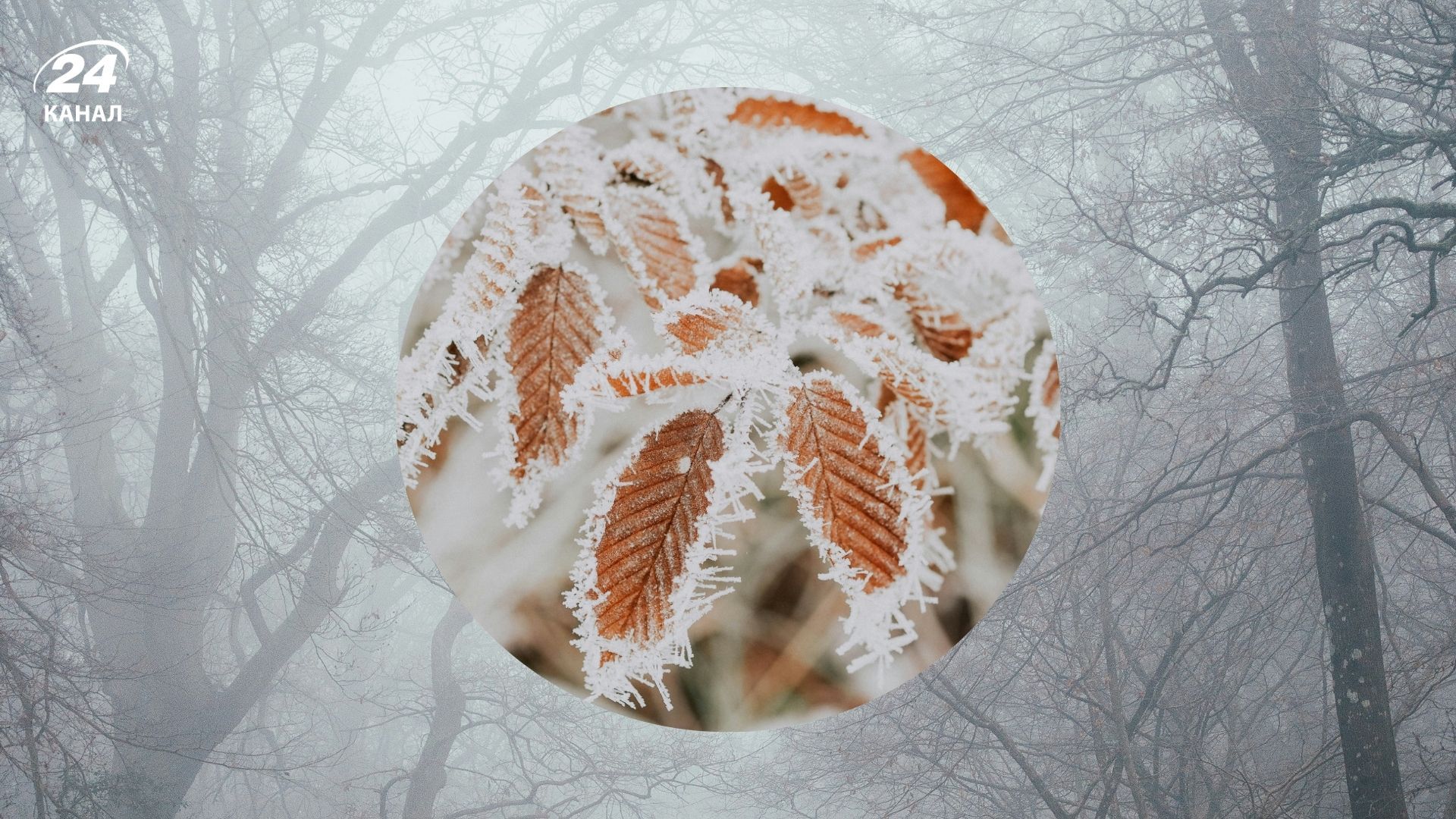 Погода на 15 октября - 24 Канал Погода на 15 октября - 24 Канал