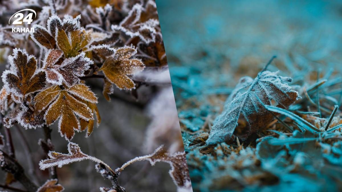 Заморозки в Украине появились из-за уменьшения облачности - 24 Канал Заморозки в Украине появились из-за уменьшения облачности - 24 Канал