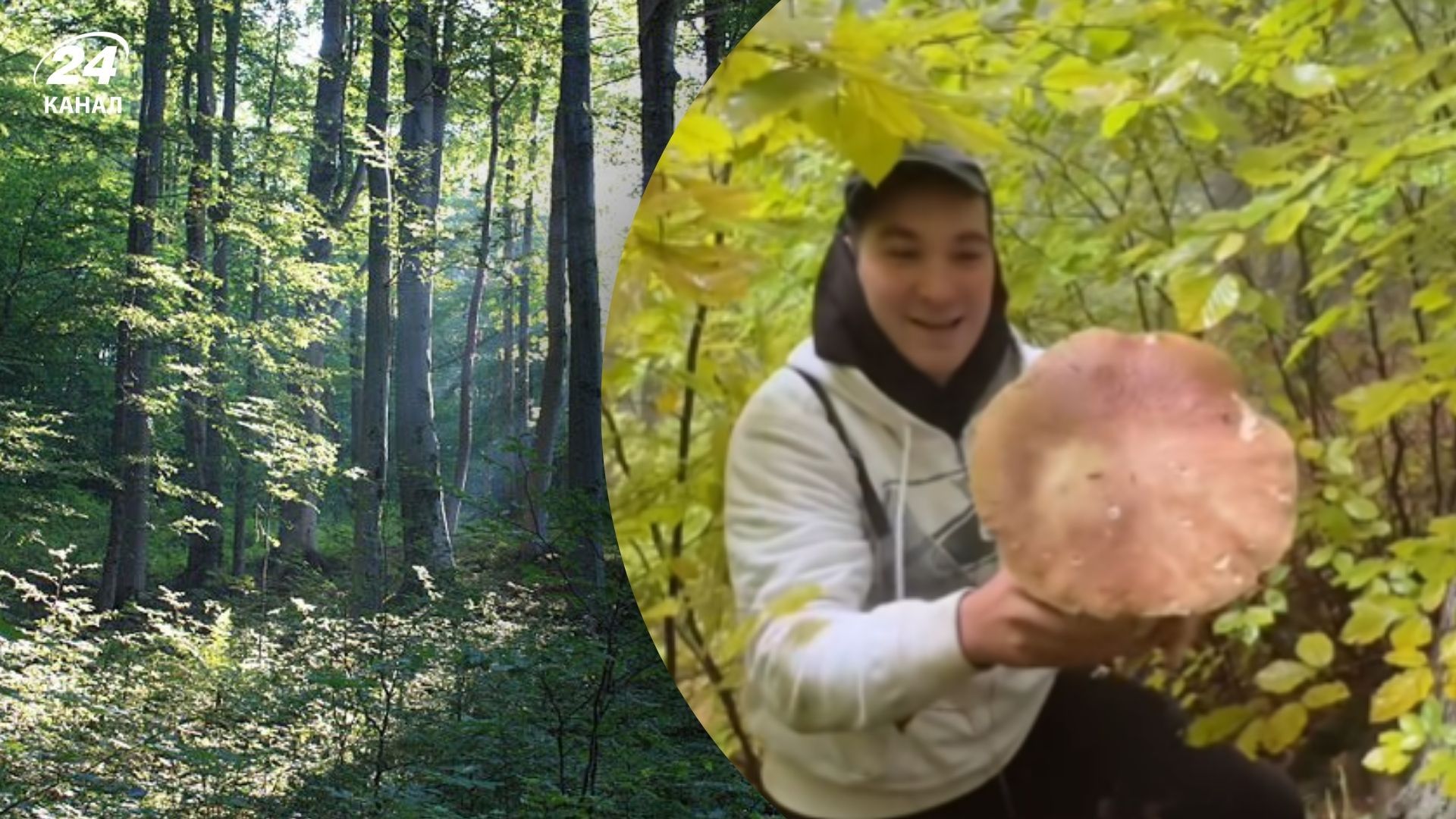 На Прикарпатті знайшли гігантські білі гриби На Прикарпатті знайшли гігантські білі гриби