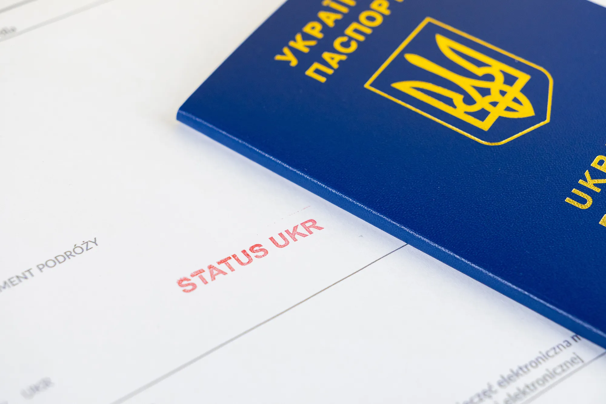 Действие специального закона для беженцев из Украины продлили Действие специального закона для беженцев из Украины продлили