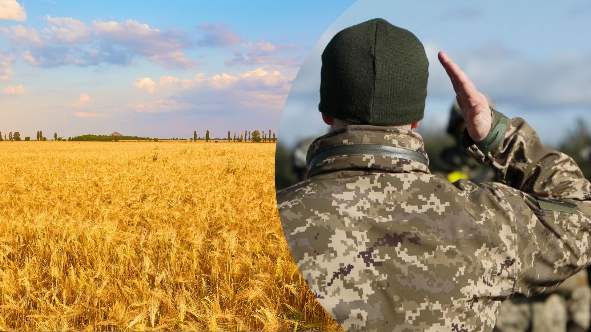 Скільки землі дадуть УБД