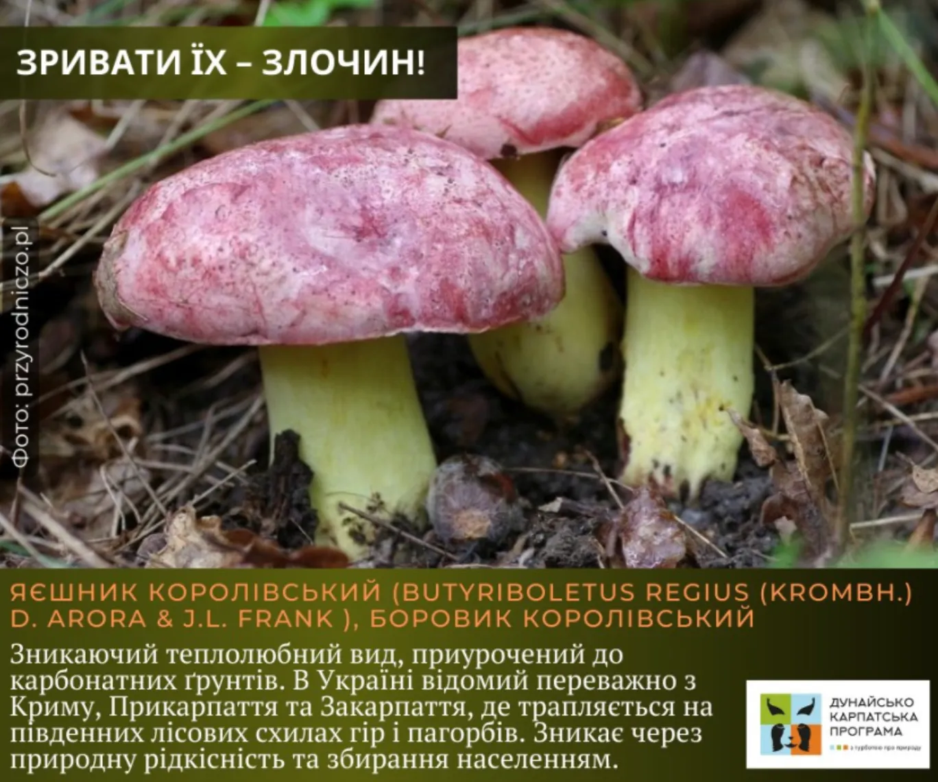 Яичница королевская