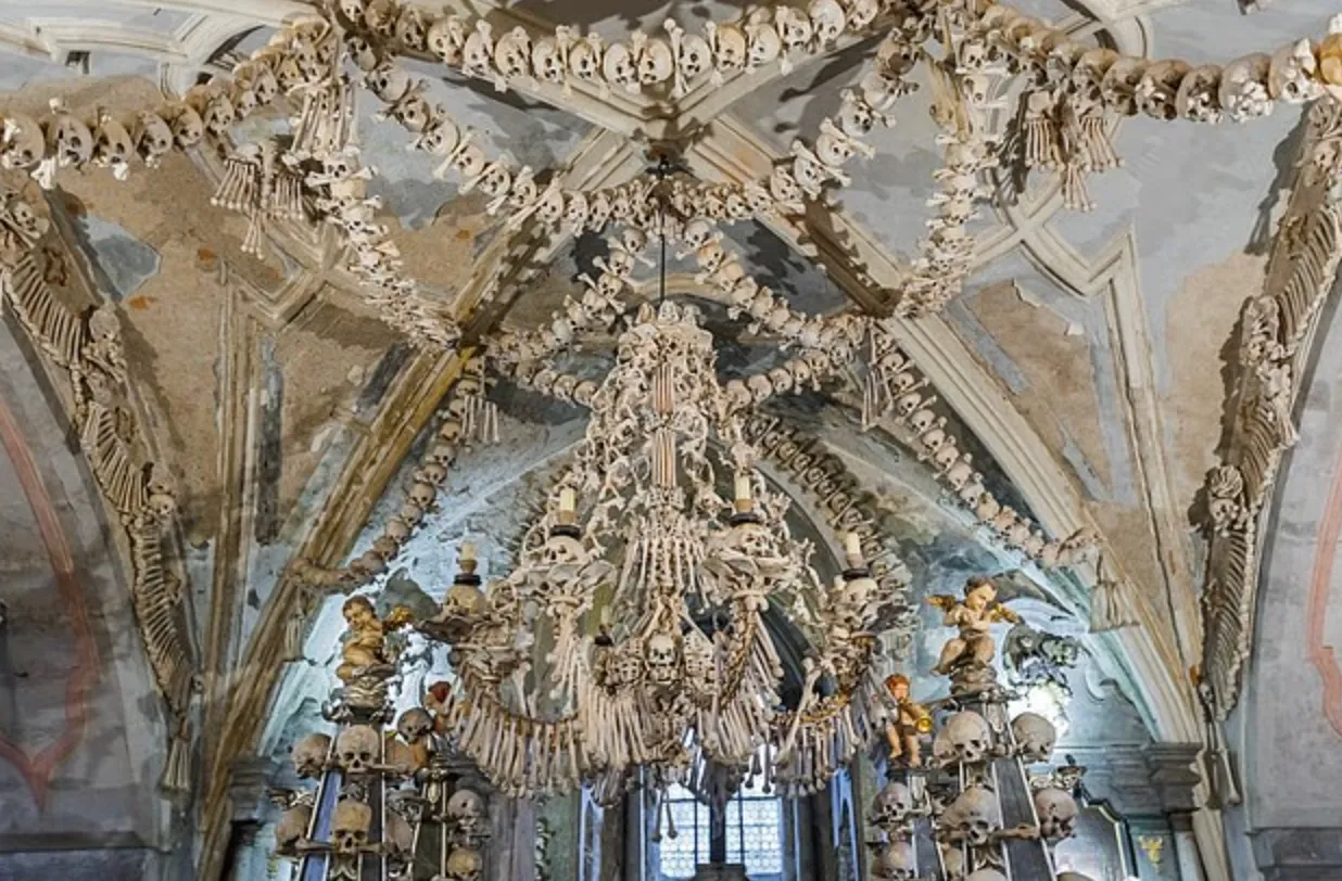 Гигантская люстра из костей