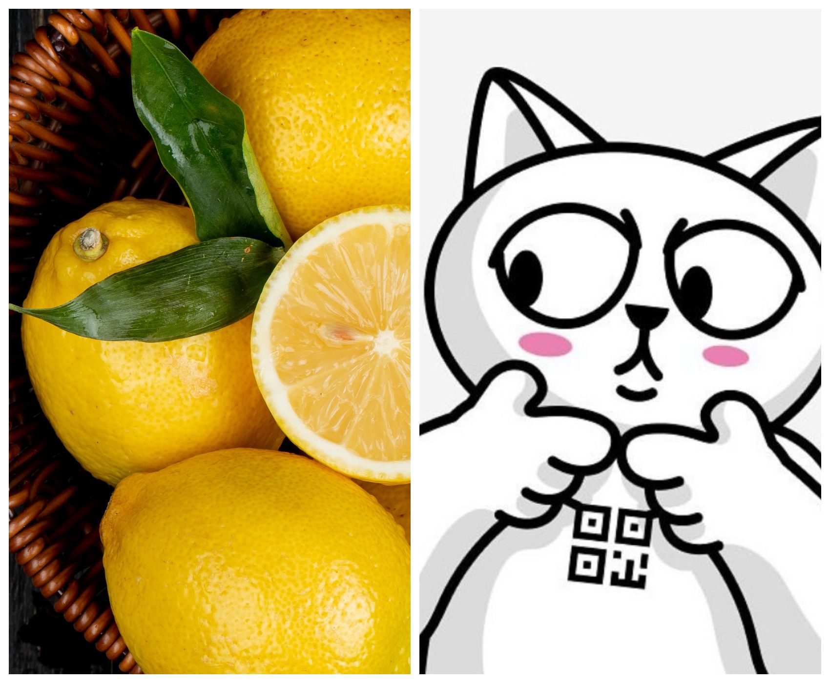 Лимоны Monobank - при входе в приложение украинцы наткнулись на интересные бранные выражения Лимоны Monobank - при входе в приложение украинцы наткнулись на интересные бранные выражения