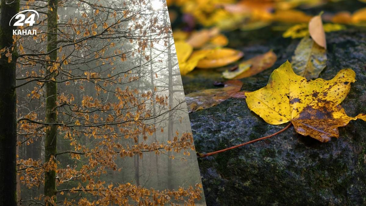 Похолодание в Украине - 24 Канал Похолодание в Украине - 24 Канал