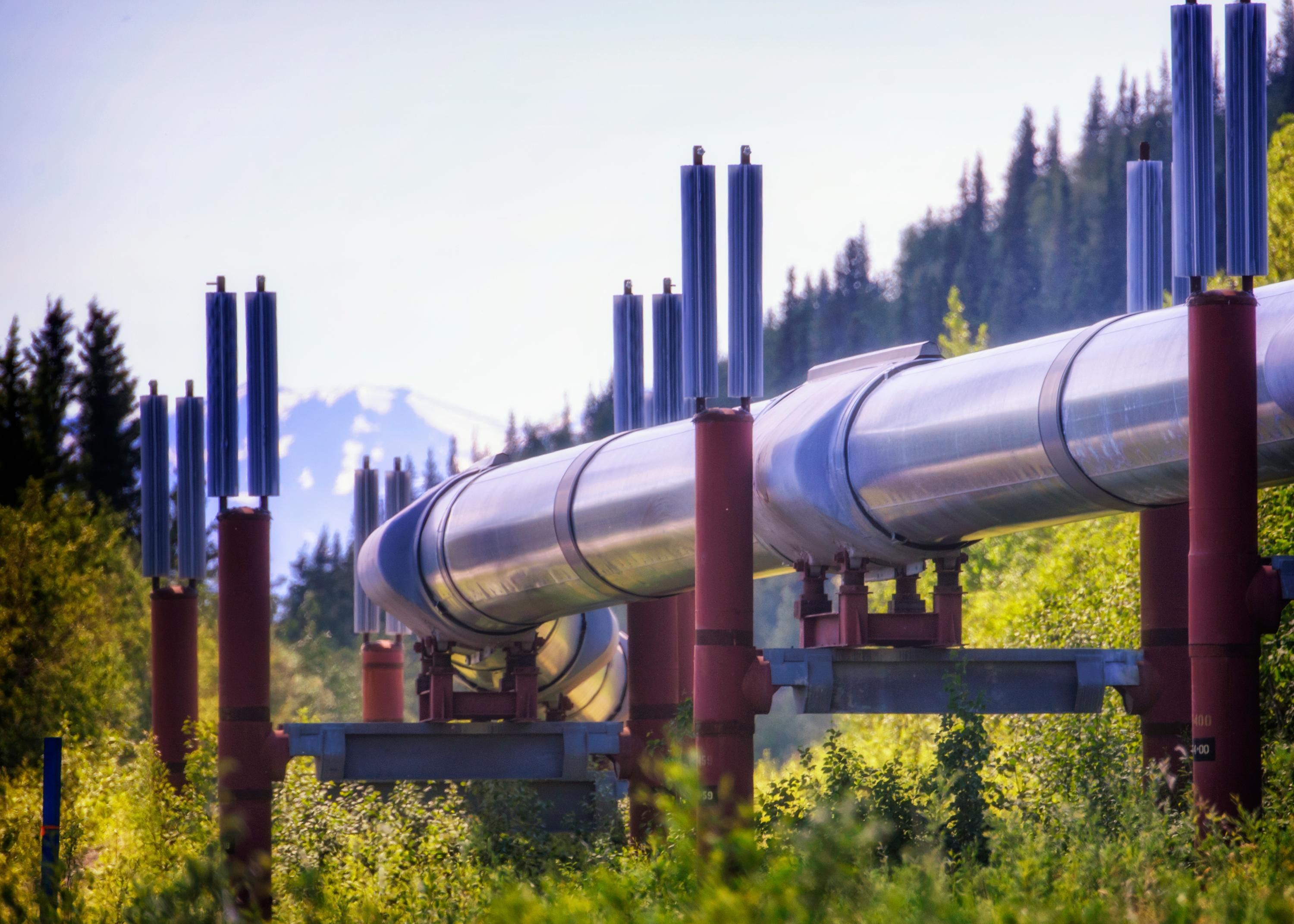 Поставки газа в Приднестровье Поставки газа в Приднестровье