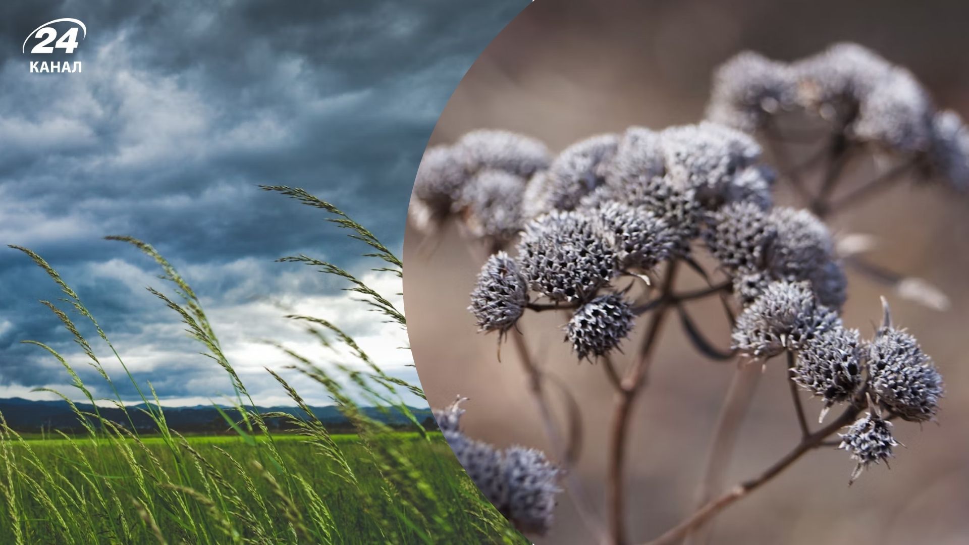 Заморозки и порывы ветра ожидаются в Украине