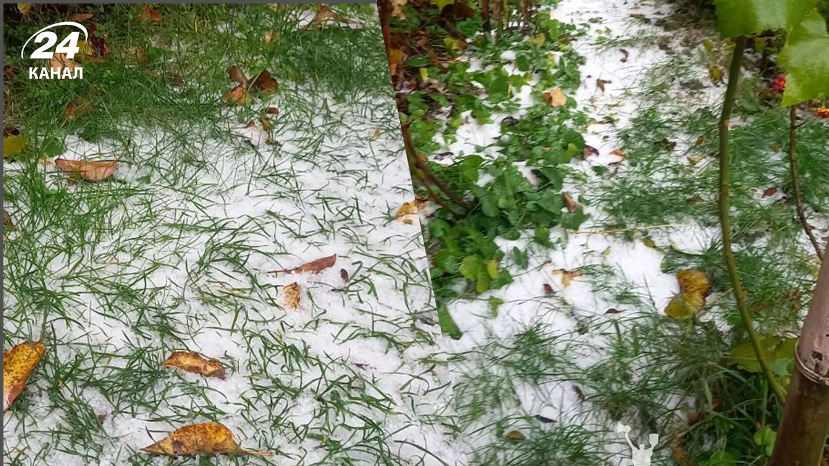 Сніг під Києвом сьогодні - фото - чи правда, що на Київщині вже сніжить - 24 Канал