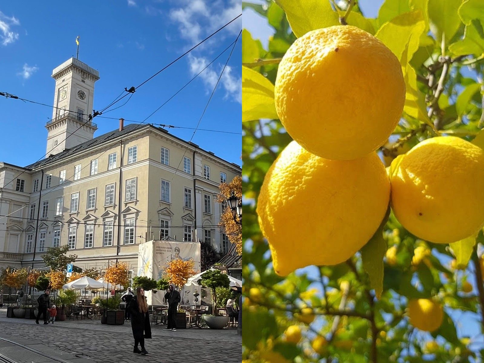 Лимони від Монобанку - якими цікавими словами з львівського діалекту описати лихоманку 