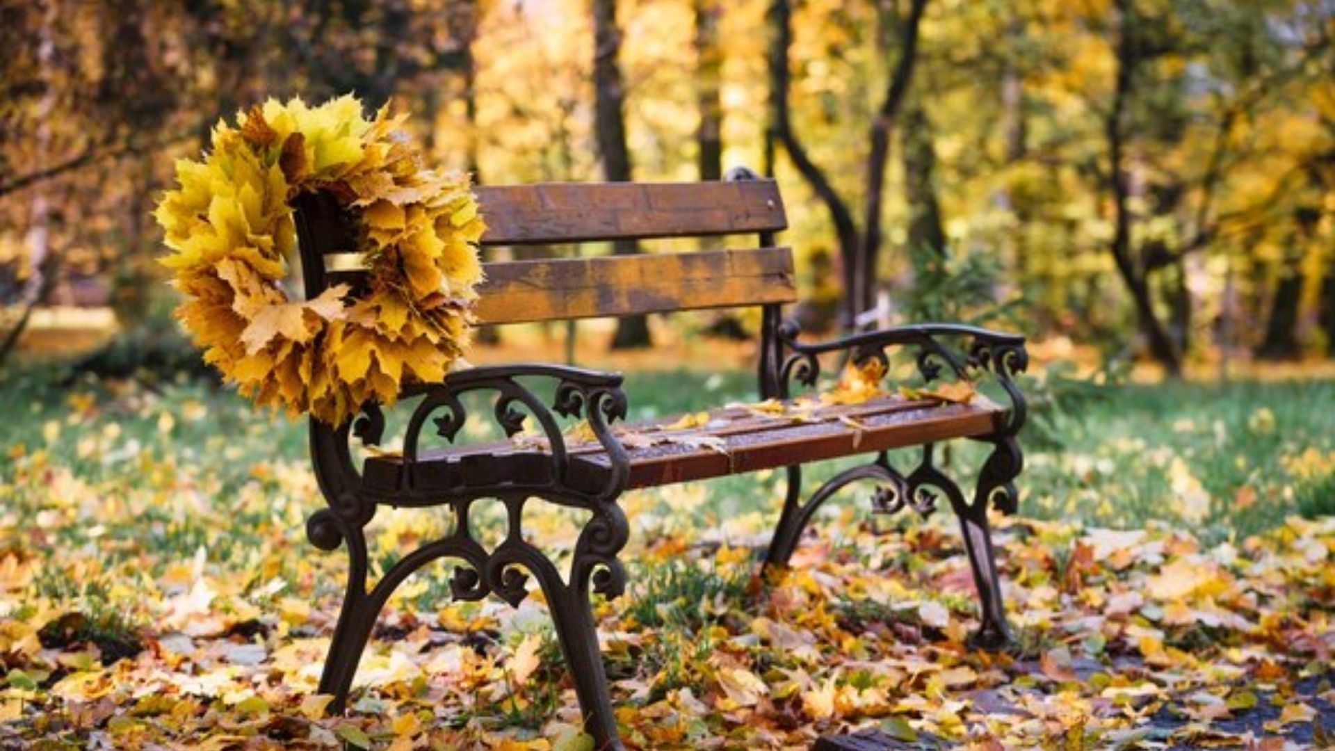 Погода в Украине 21 октября Погода в Украине 21 октября