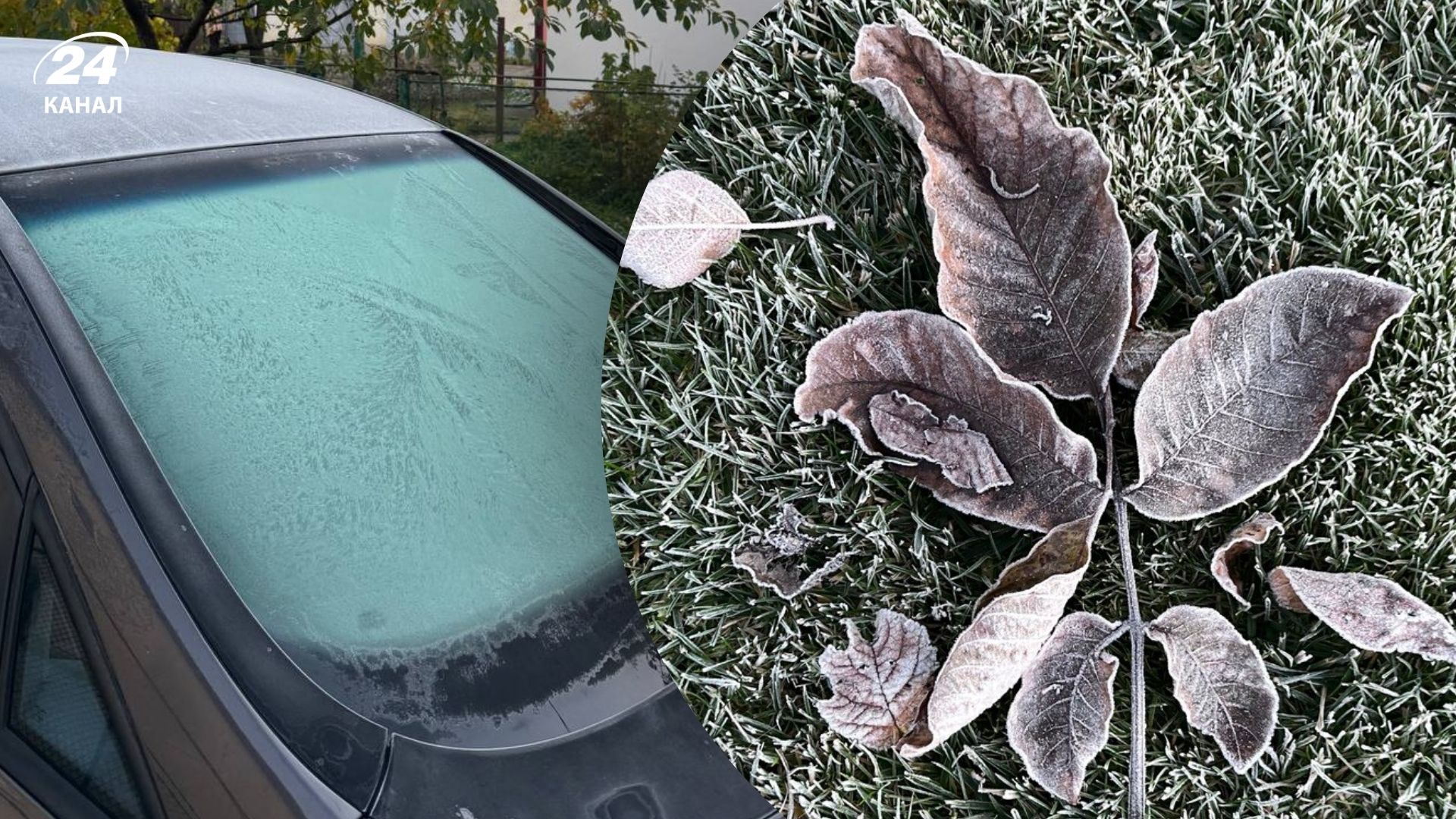 Заморозки на Прикарпатье и Львовщине Заморозки на Прикарпатье и Львовщине