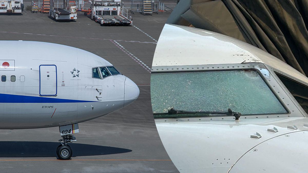 Столкновение самолета с объектом на высоте – что стало причиной ранения пилота Столкновение самолета с объектом на высоте – что стало причиной ранения пилота