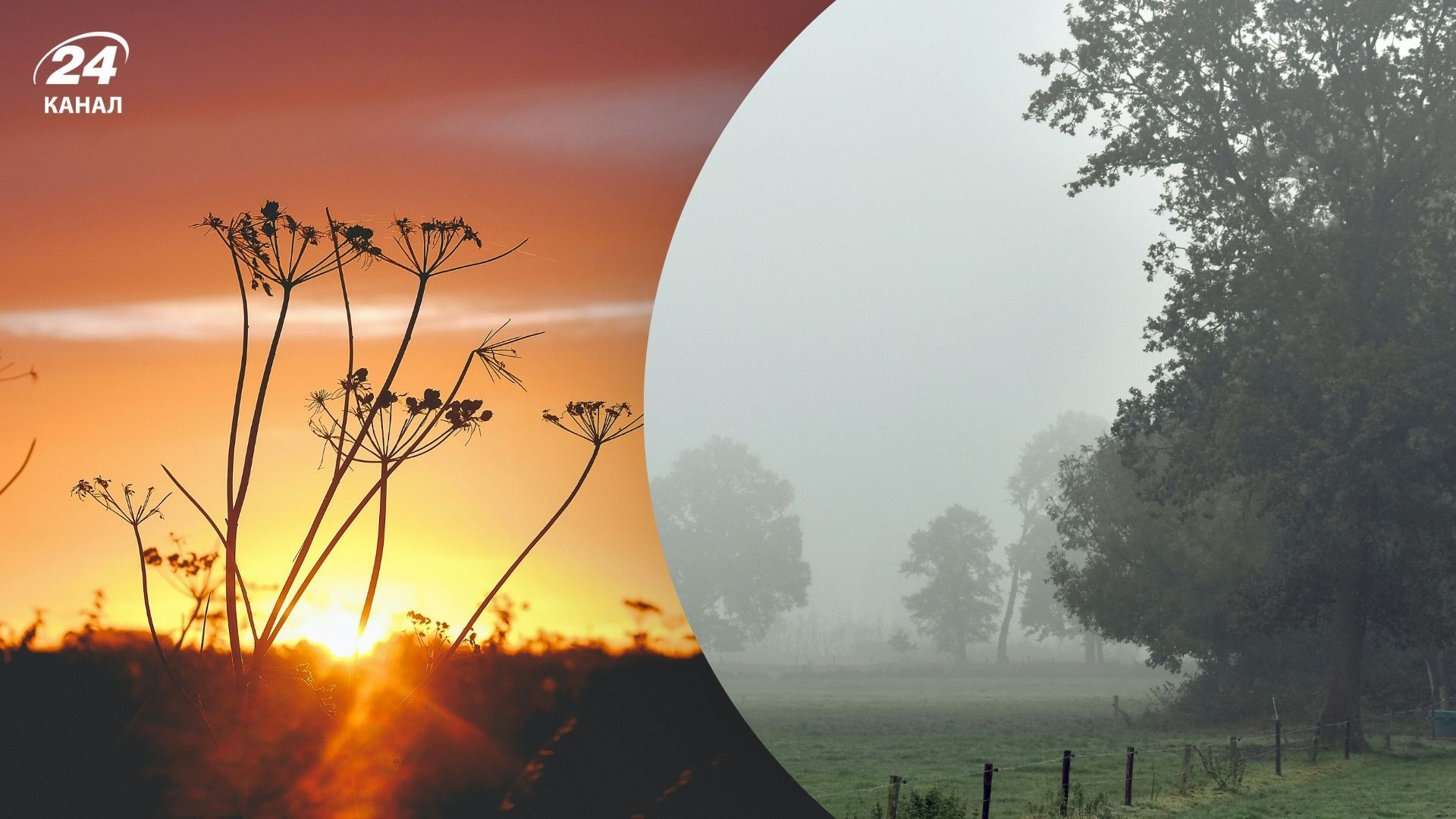 Когда в Украине минуют заморозки Когда в Украине минуют заморозки