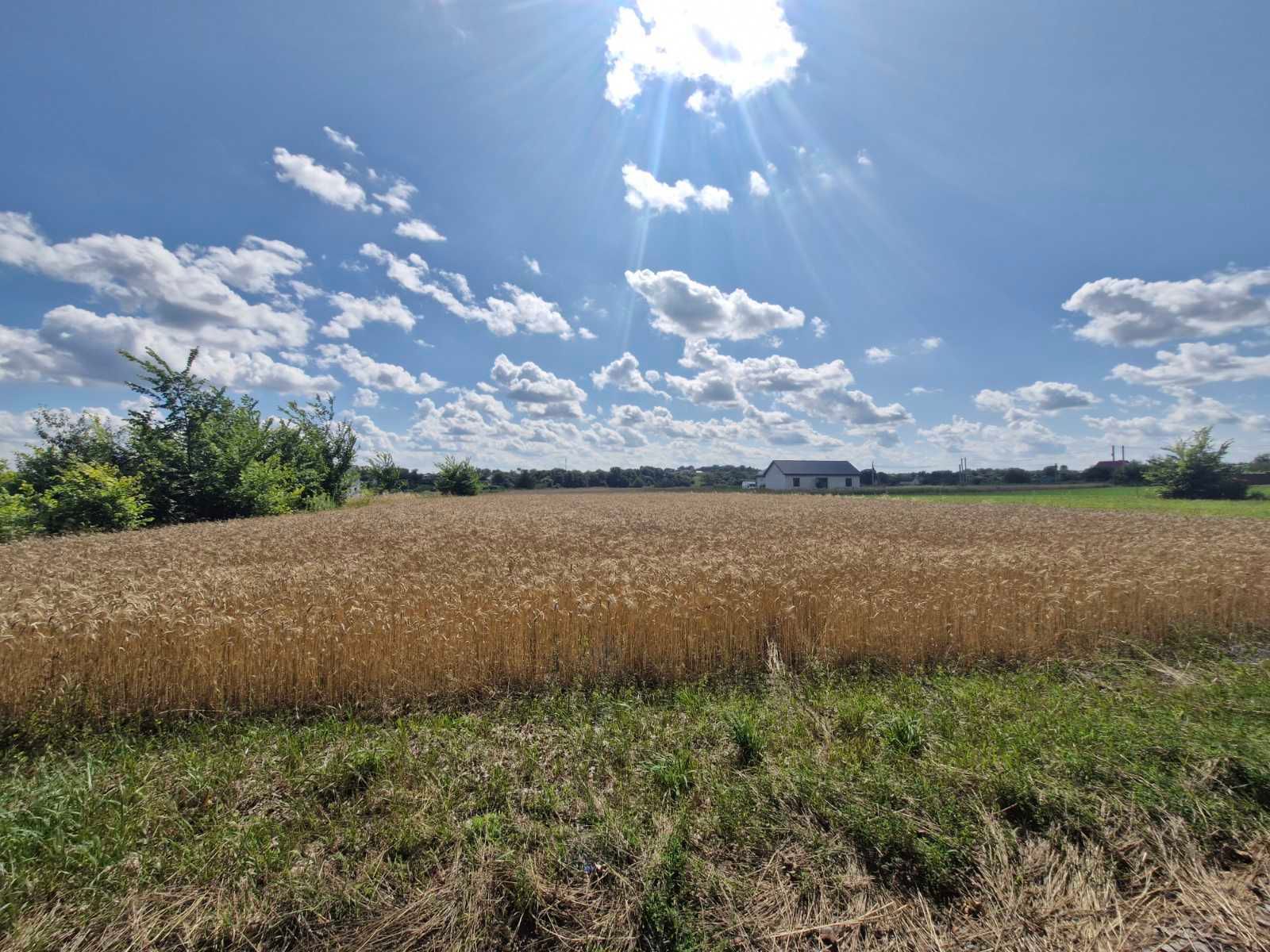 Не приватизирован огород - могут ли забрать землю Не приватизирован огород - могут ли забрать землю