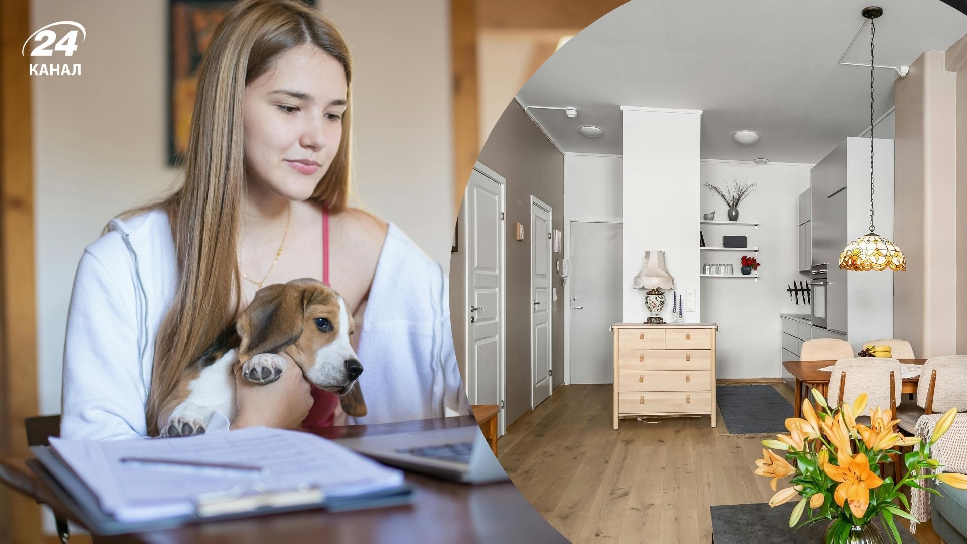 Аренда квартиры с домашним питомцем