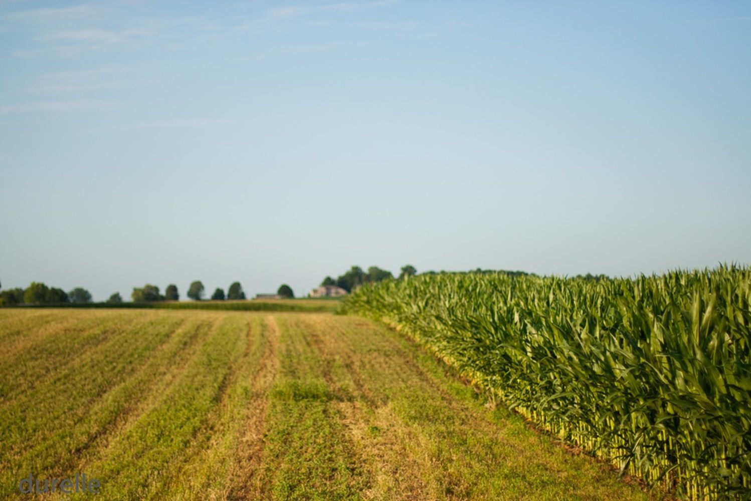Де найвигідніше продавати землю в Україні Де найвигідніше продавати землю в Україні