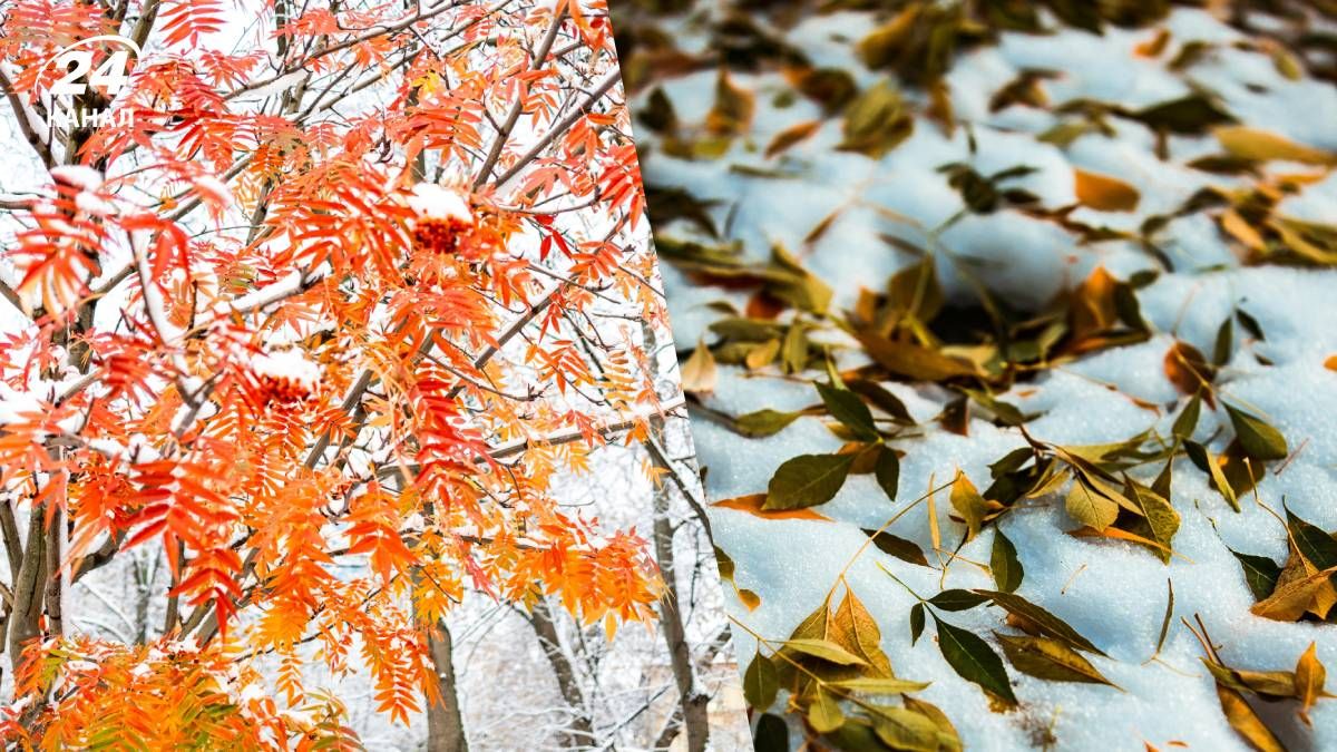 Сильного снігу в Україні не очікується - 24 Канал Сильного снігу в Україні не очікується - 24 Канал