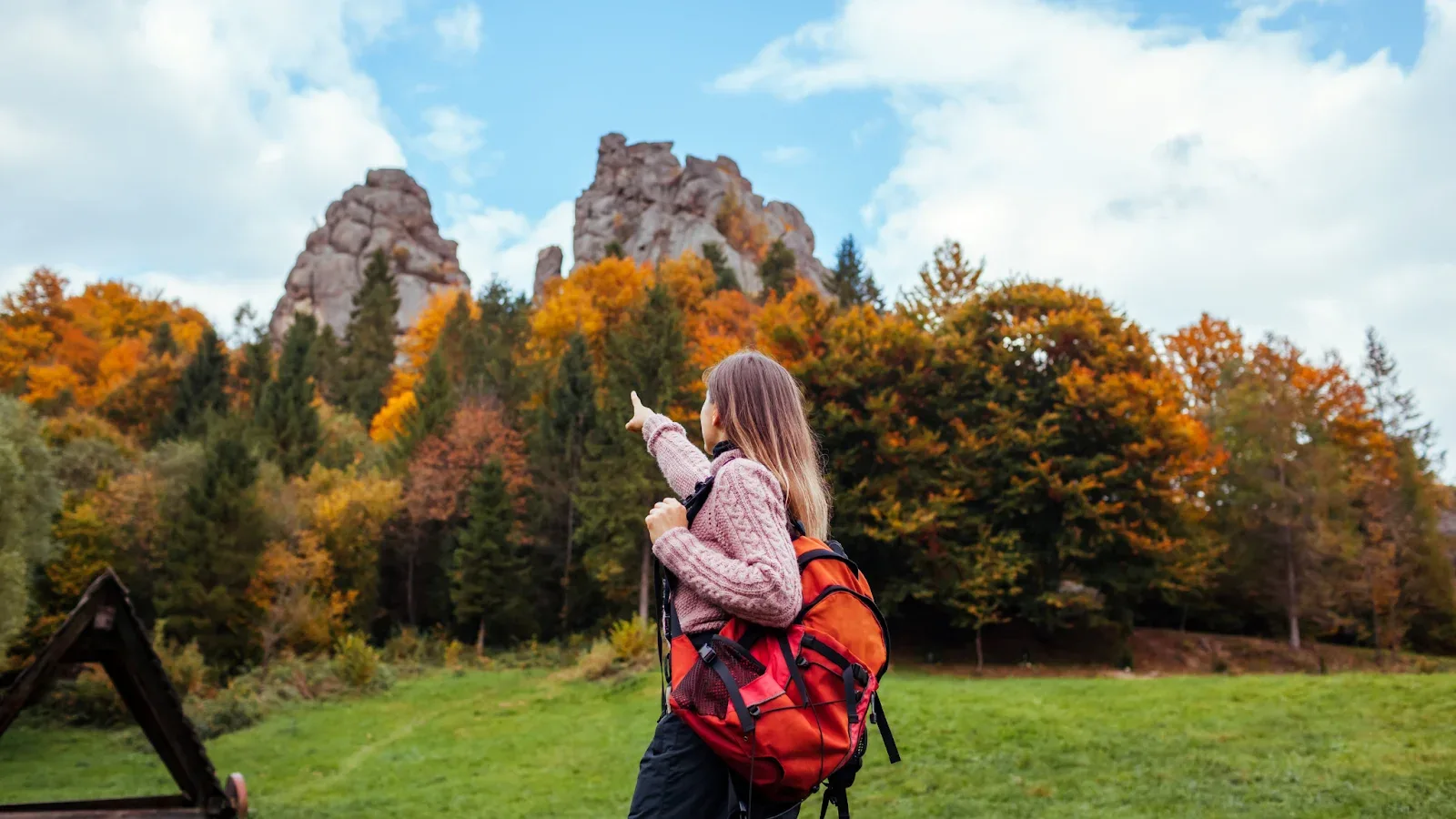 Малі бізнеси витягують туризм – скільки податків сплачен - Бізнес