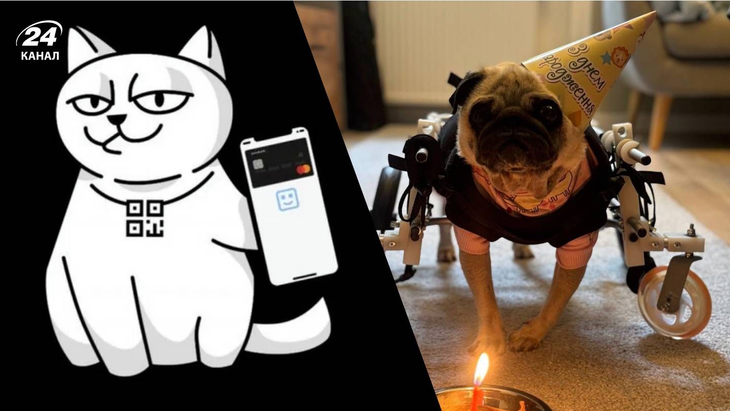 лежанка - Тренди