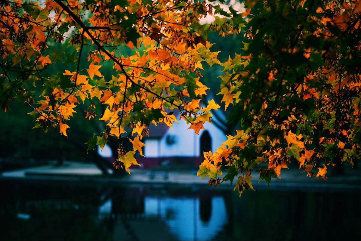 Погода в Украине - 24 Канал Погода в Украине - 24 Канал