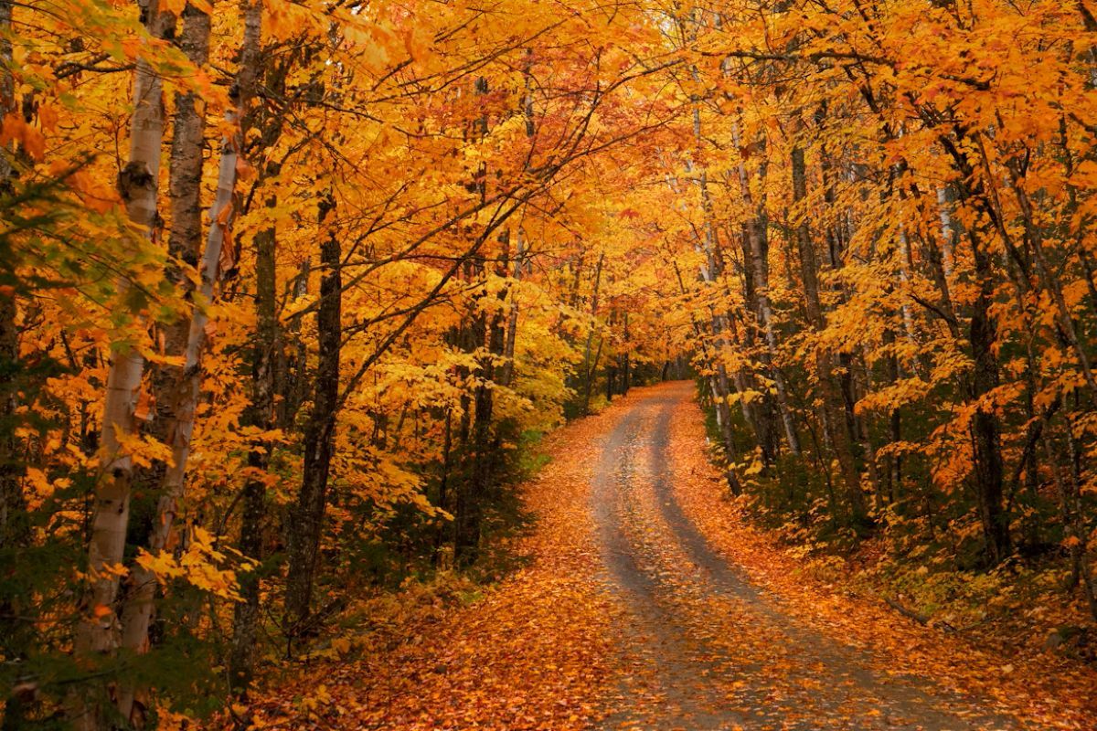 Прогноз погоди в Україні на кінець жовтня - 24 Канал Прогноз погоди в Україні на кінець жовтня - 24 Канал