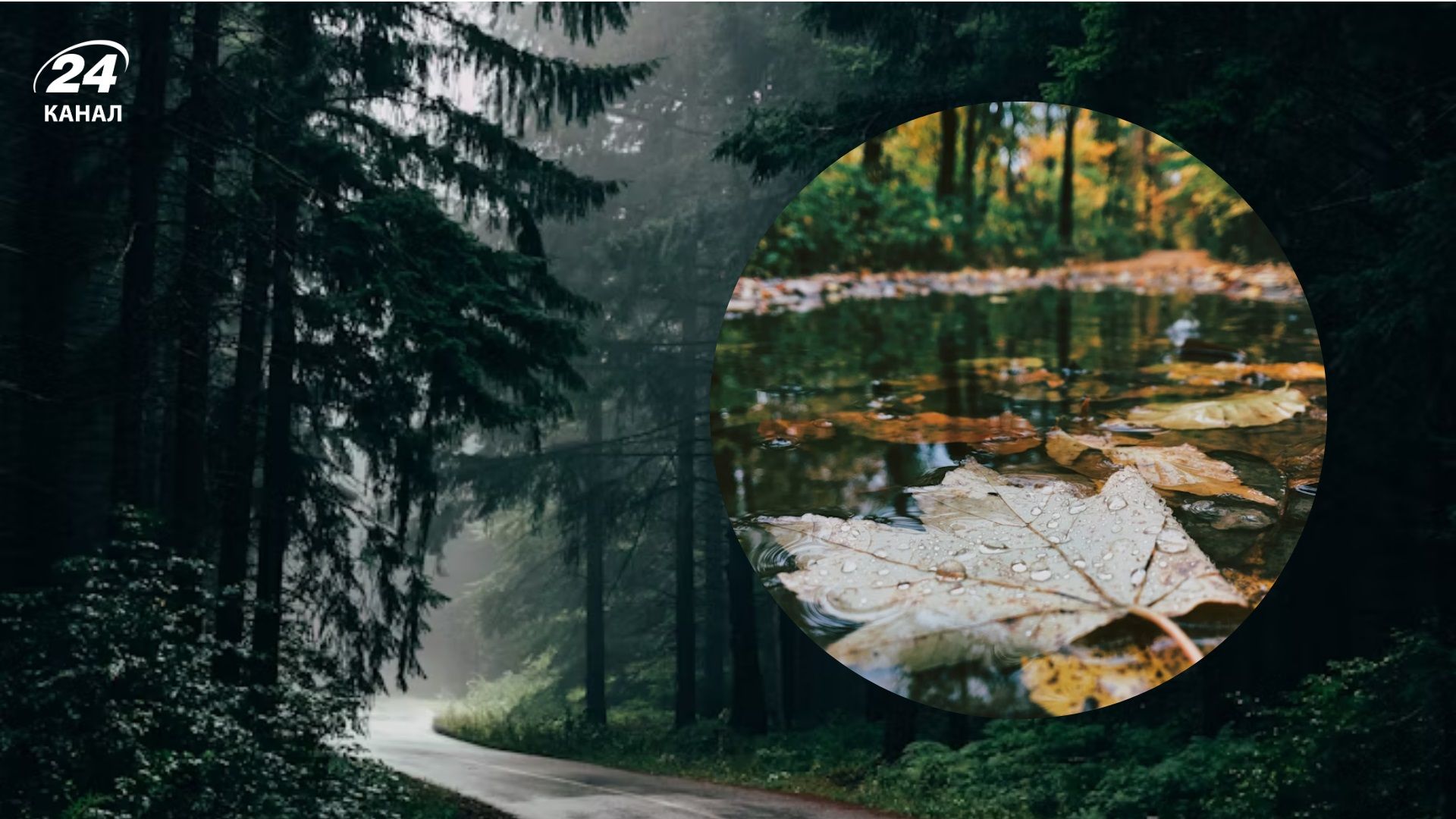 В ближайшие двое суток в Украине ожидаются умеренные, местами значительные дожди - 24 Канал В ближайшие двое суток в Украине ожидаются умеренные, местами значительные дожди - 24 Канал