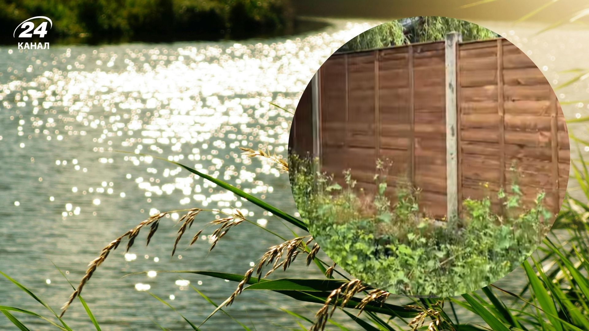 На задньому дворі будинку зачаїлася краса