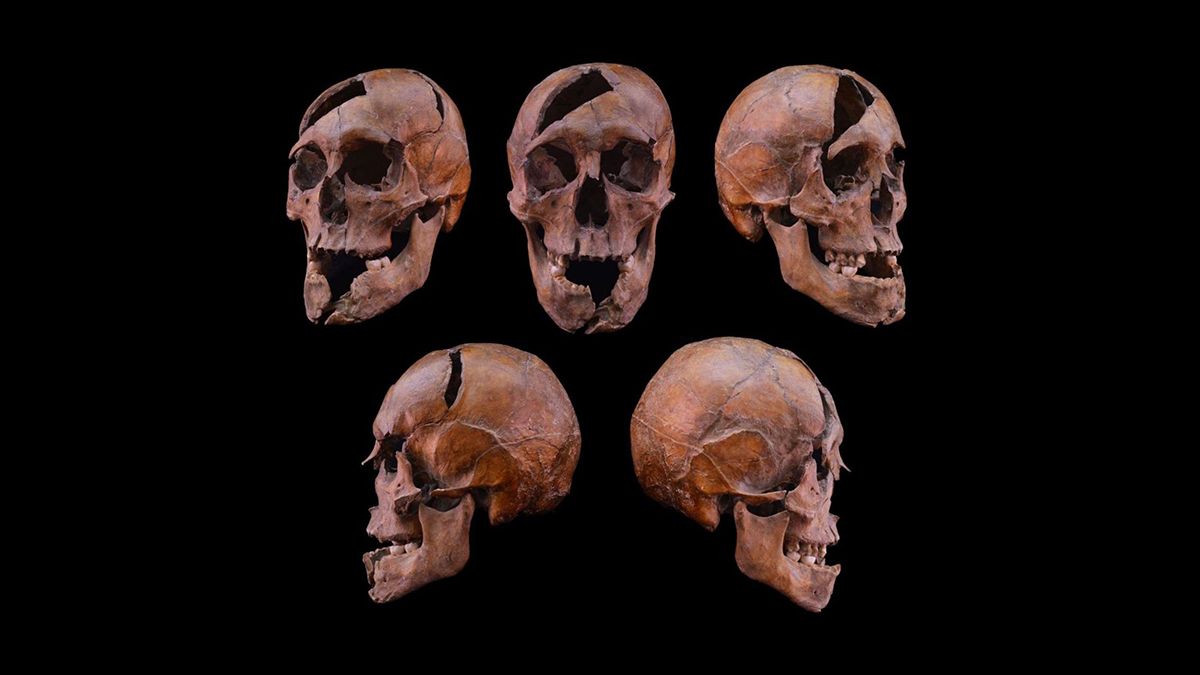 Убийство сына галицкого князя –ученые раскрыли тайну 13 века