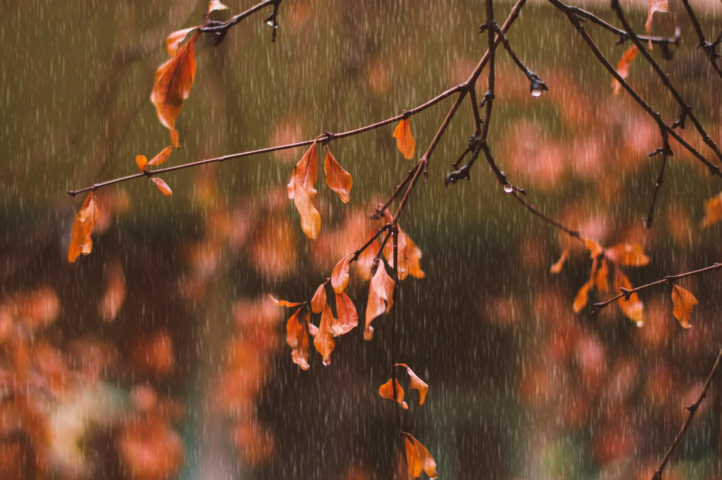 Погода в Україні - 24 Канал Погода в Україні - 24 Канал