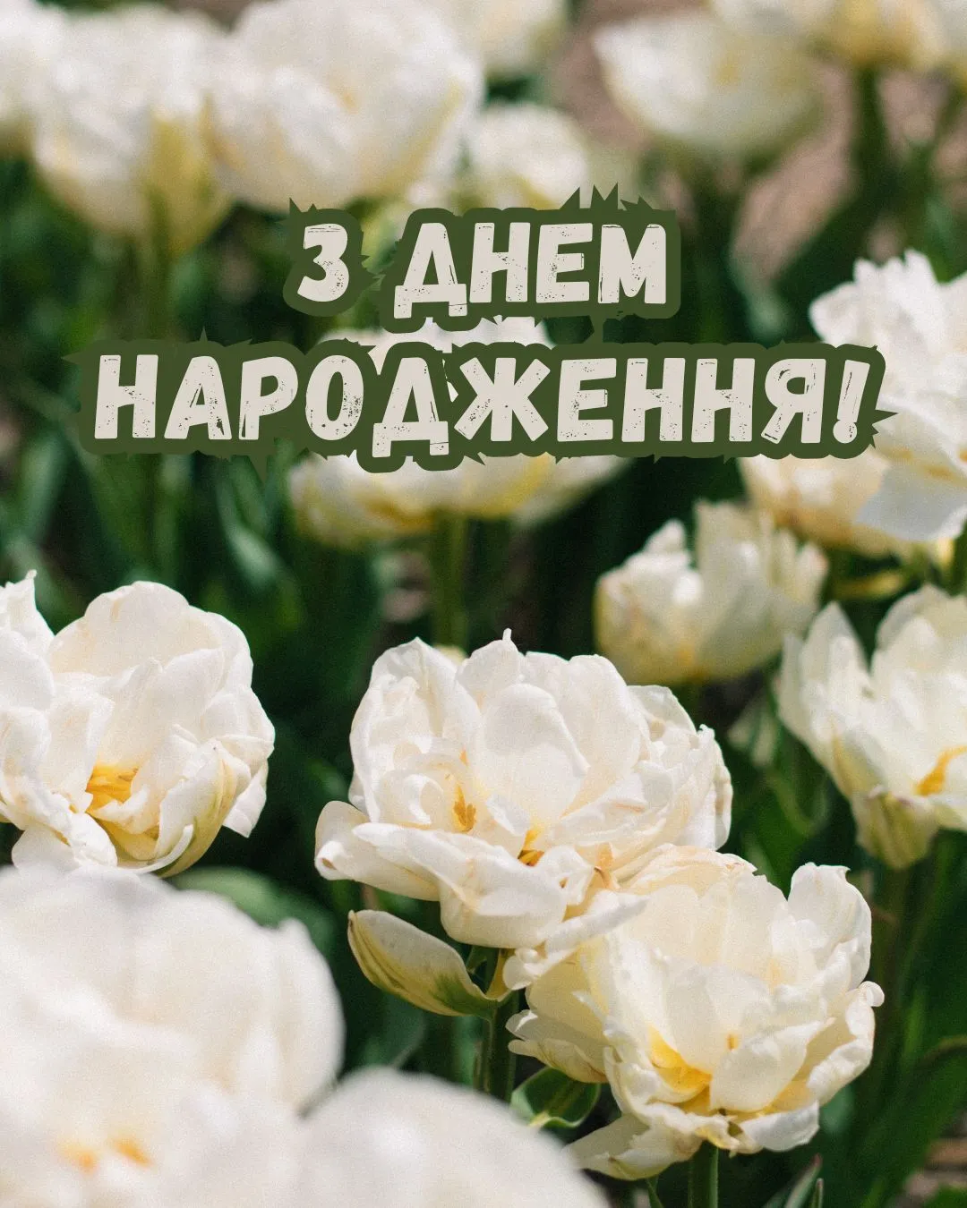 Привітання з днем народження жінці Привітання з днем народження жінці