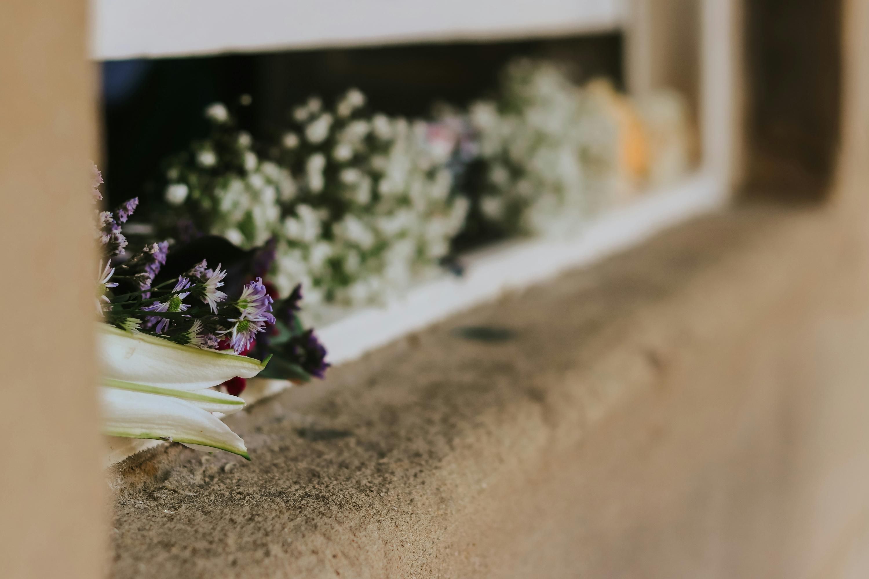 Как сделать зимний сад дома - какие цветы посадить Как сделать зимний сад дома - какие цветы посадить