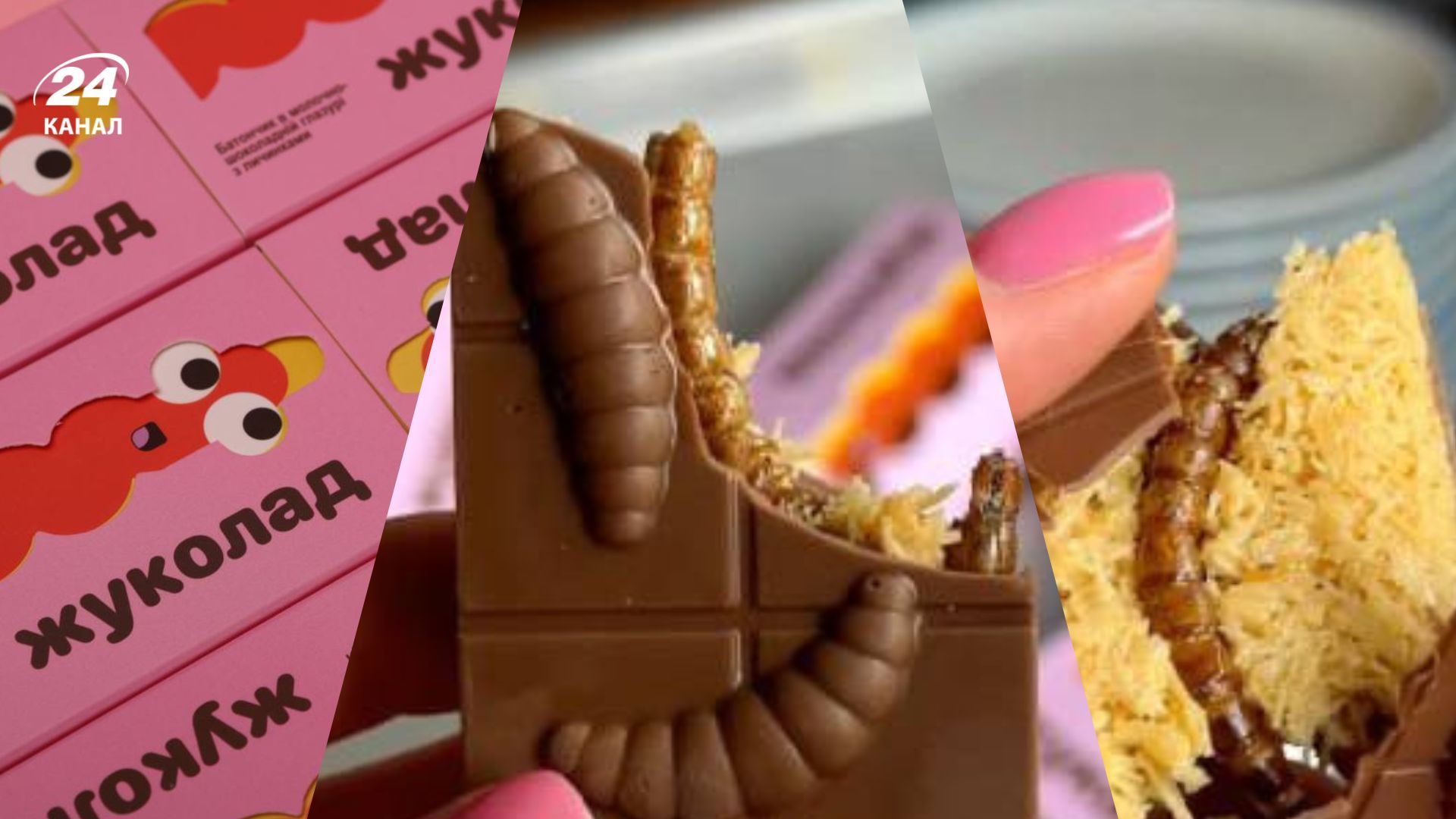 Украинцы могут попробовать шоколадный батончик с личинками Украинцы могут попробовать шоколадный батончик с личинками