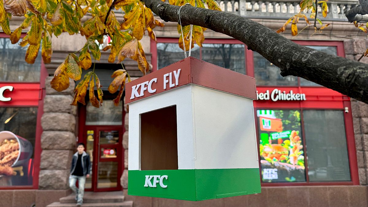 Вегетаріанська гілка KFC і годівнички біля ресторанів: зелена ініціатива для свідомих споживачів - lifestyle 24 Вегетаріанська гілка KFC і годівнички біля ресторанів: зелена ініціатива для свідомих споживачів - lifestyle 24
