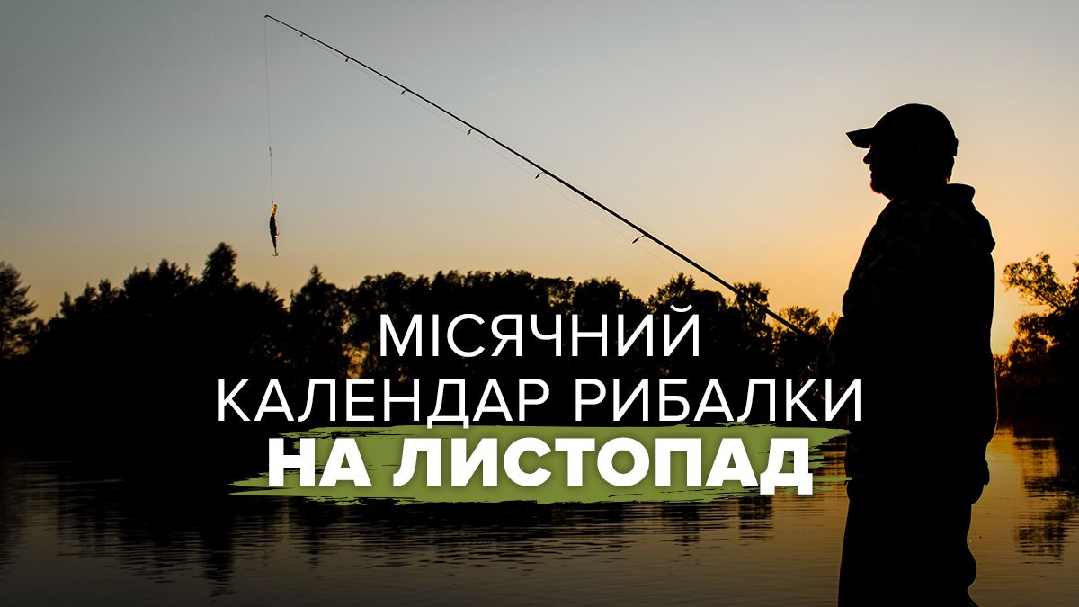 Когда ловить рыбу в ноябре Когда ловить рыбу в ноябре