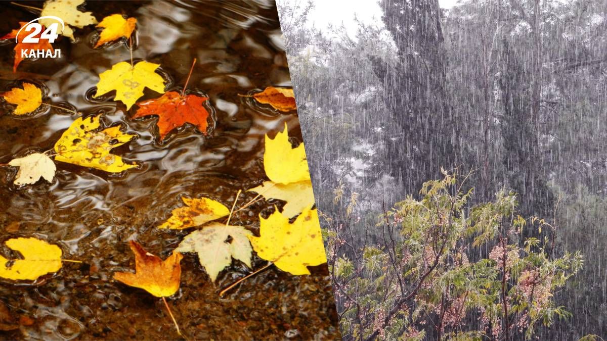 Сильных дождей в Украине пока не ожидается - 24 Канал