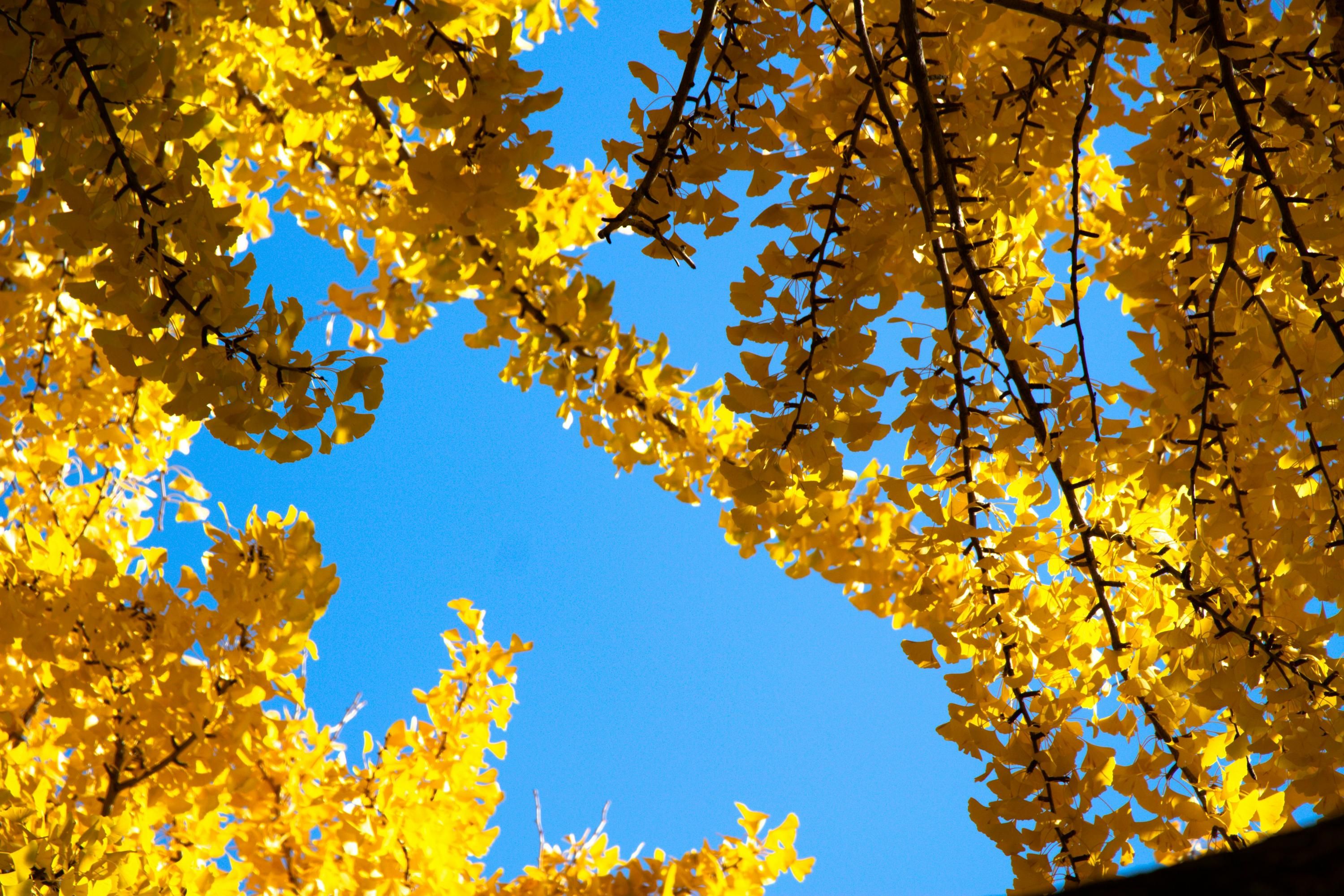 В деякі області повернеться тепло - 24 Канал В деякі області повернеться тепло - 24 Канал