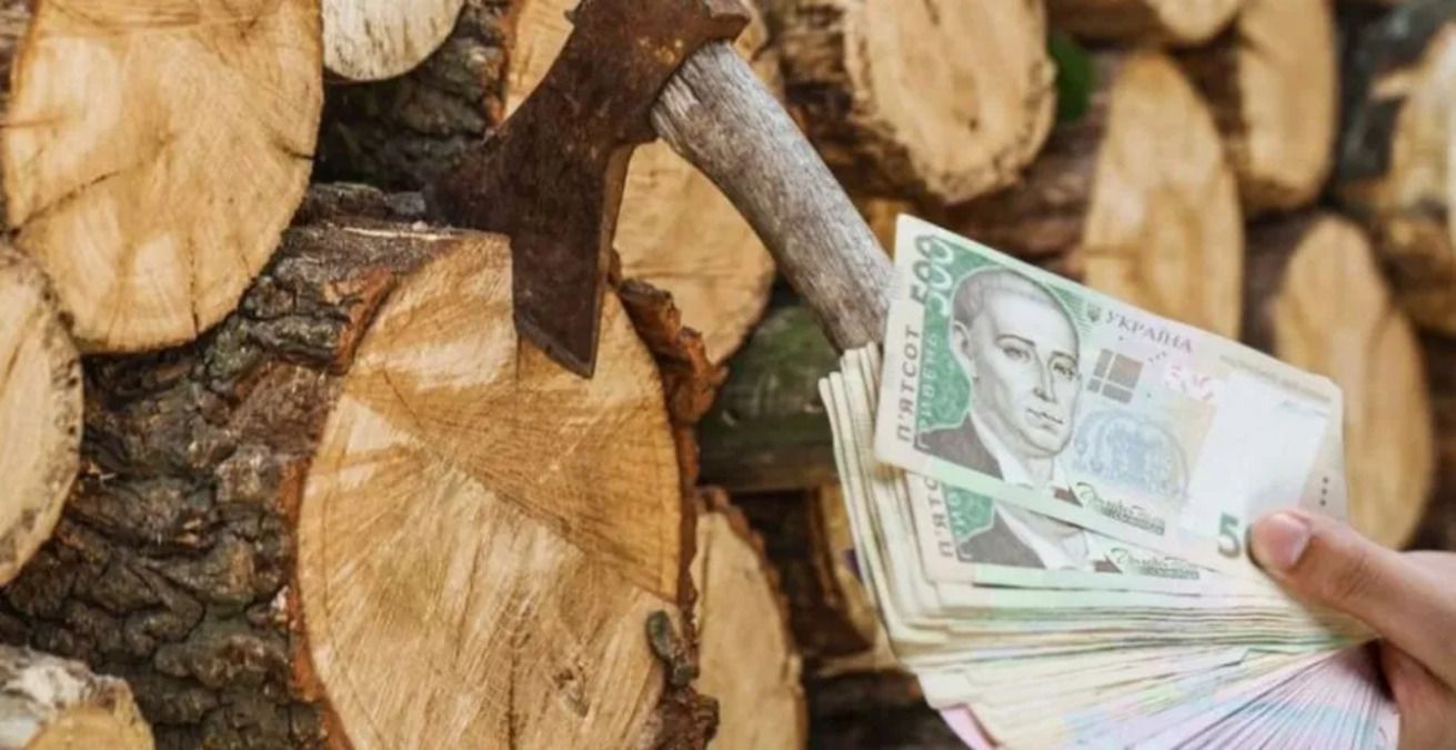 Отопительный сезон 2025 - как получить помощь ООН на дрова