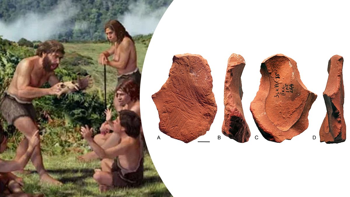 Неандертальцы использовали мел из охры для рисования, свидетельствуют находки из Крыма Неандертальцы использовали мел из охры для рисования, свидетельствуют находки из Крыма