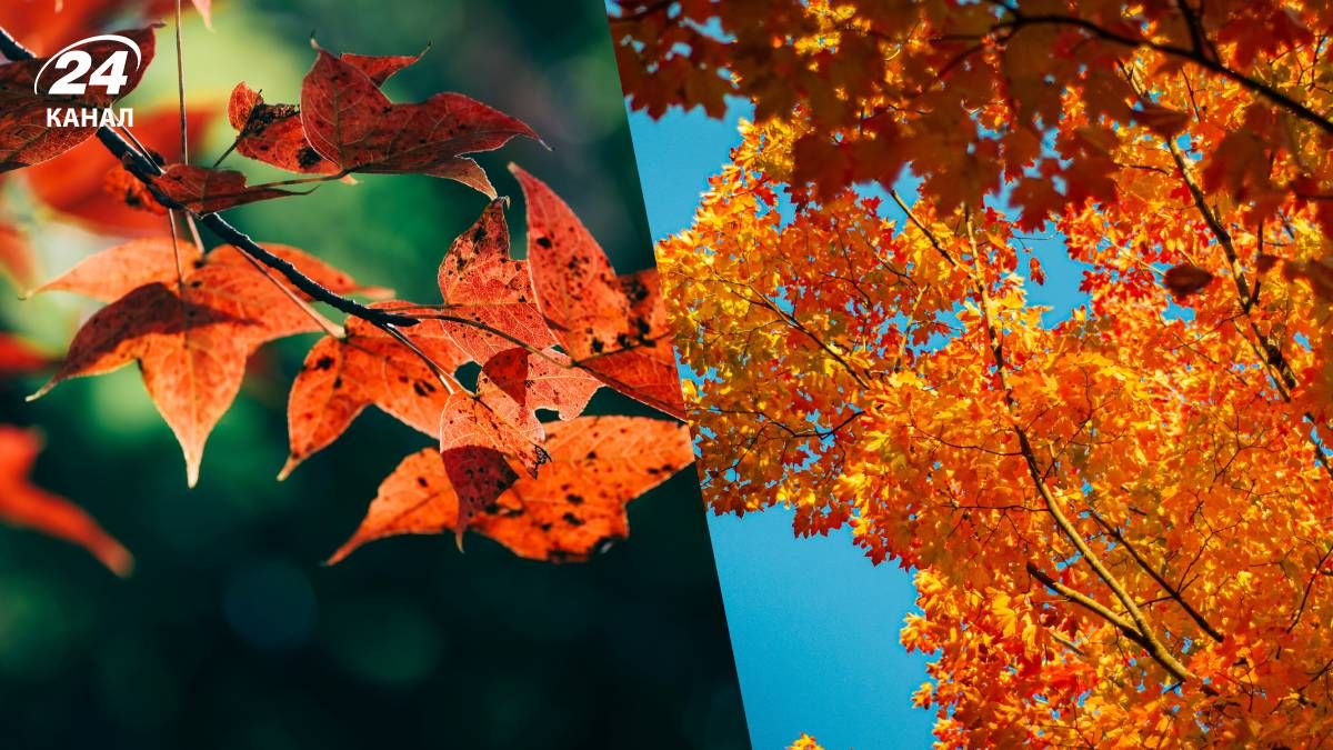 Погода на перші дні листопада - 24 Канал Погода на перші дні листопада - 24 Канал