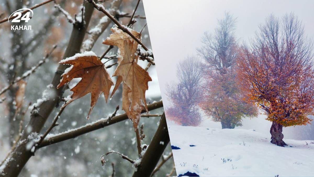 Перший сильний сніг в Україні буде наприкінці листопада - 24 Канал