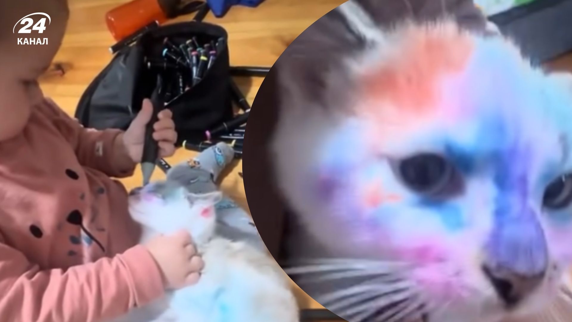 Діти лікарки зі Львова жорстоко поводилися з котом