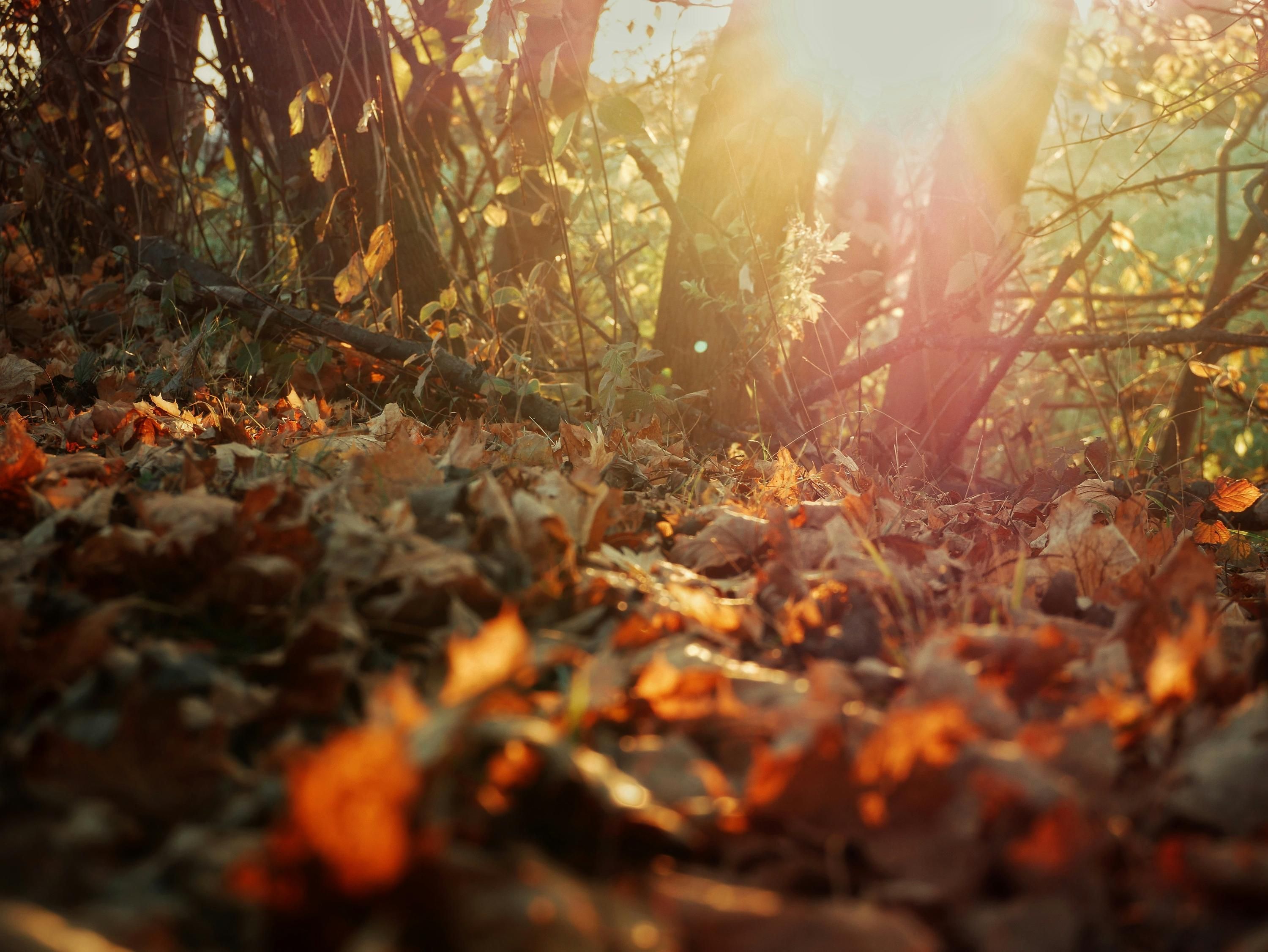 Прогноз погоди в Україні на найближчий тиждень - 24 Канал Прогноз погоди в Україні на найближчий тиждень - 24 Канал