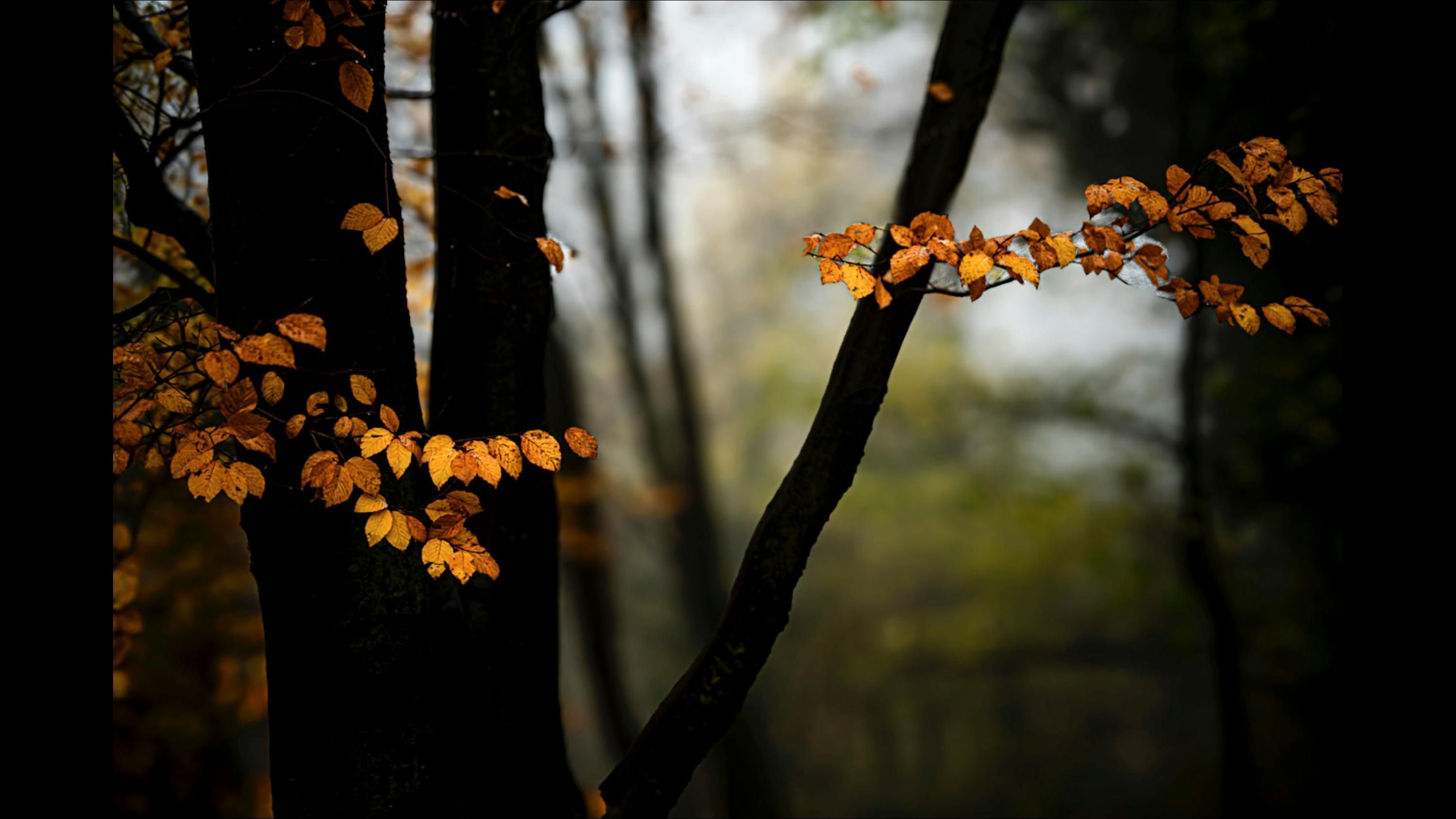 Пока похолодания ожидать не стоит - 24 Канал Пока похолодания ожидать не стоит - 24 Канал